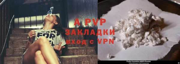 apvp Богданович